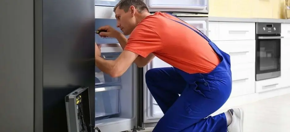 Adana buzdolabı servisi